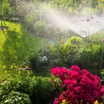 A garden with water being sprayed over it in the sunlight.