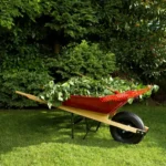 A wheelbarrow with leaves in it.