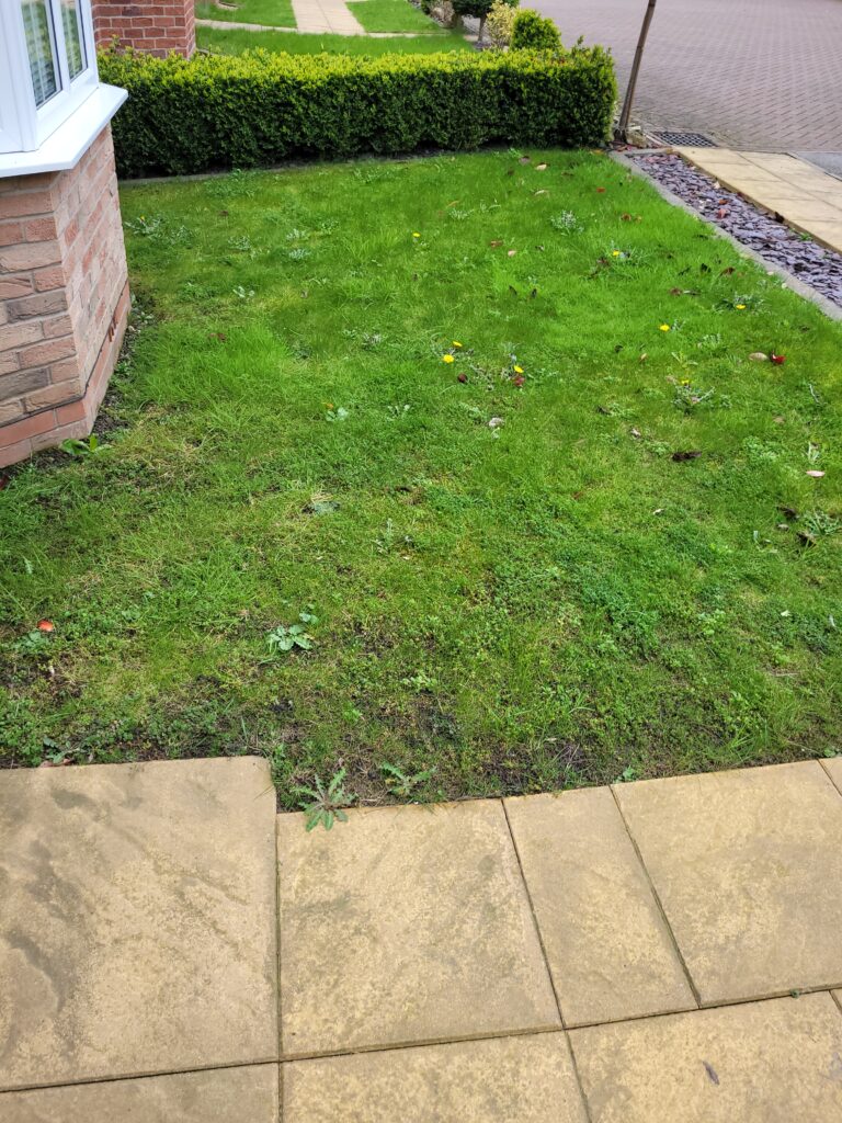 Front lawn in Wakefield before full renovation with overseeding and treatments