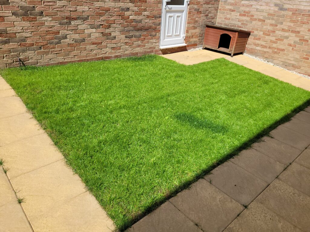 After lawn renovation Ossett near Wakefield a new lush weed free lawn