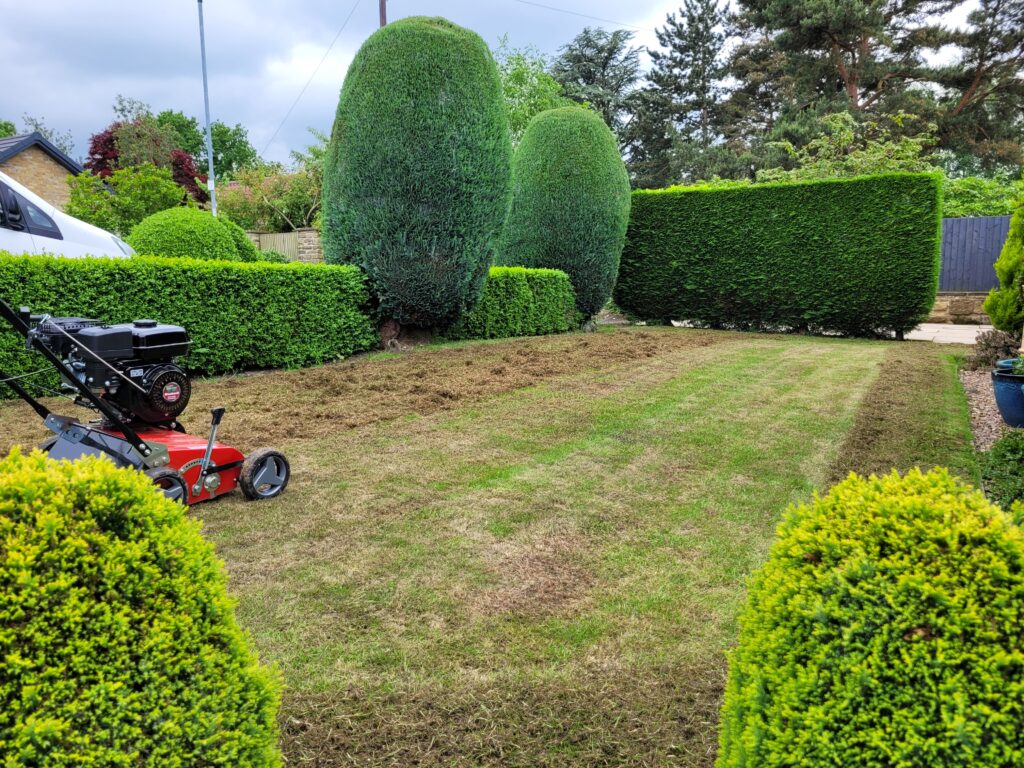 Professional lawn scarification with a petrol scarifying machine in Wakefield