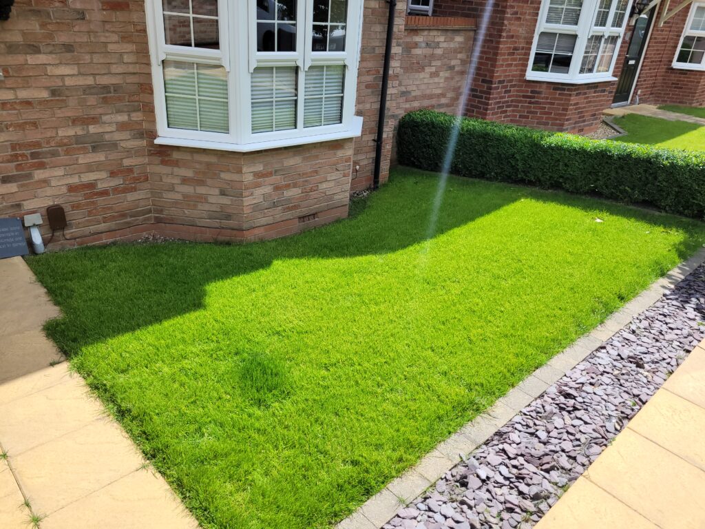 A new lush lawn after a full lawn renovation in Wakefield