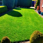 A treated lawn in Sandal Wakefield