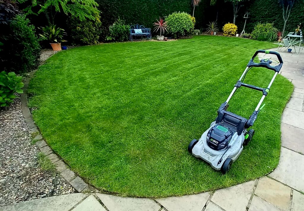 Healthy green lawn in Wakefield after a professional lawn care treatment