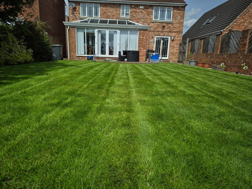 Large healthy striped lawn professionally maintained in Wakefield