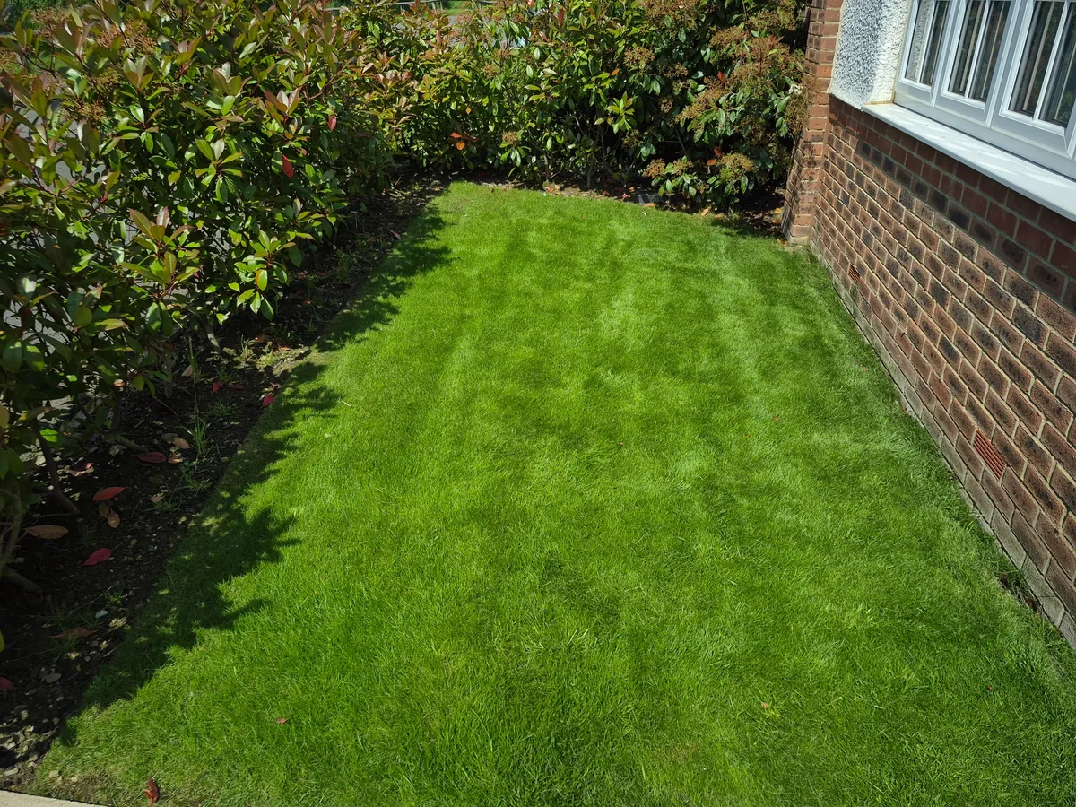 Healthy green lawn after professional lawn treatment in Wakefield