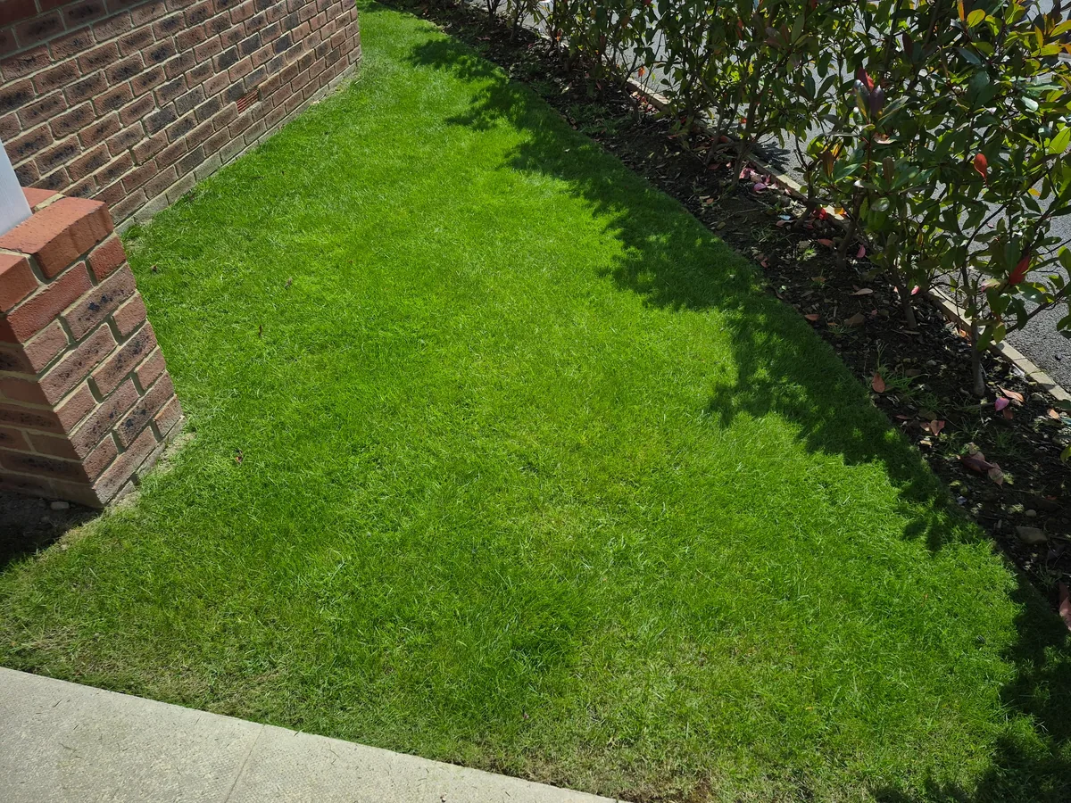 Green maintained lawn after Complete Lawncare service in Wakefield