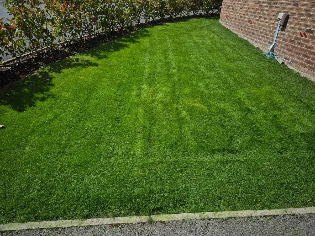 Thick healthy lawn after professional mowing and lawn care in Wakefield