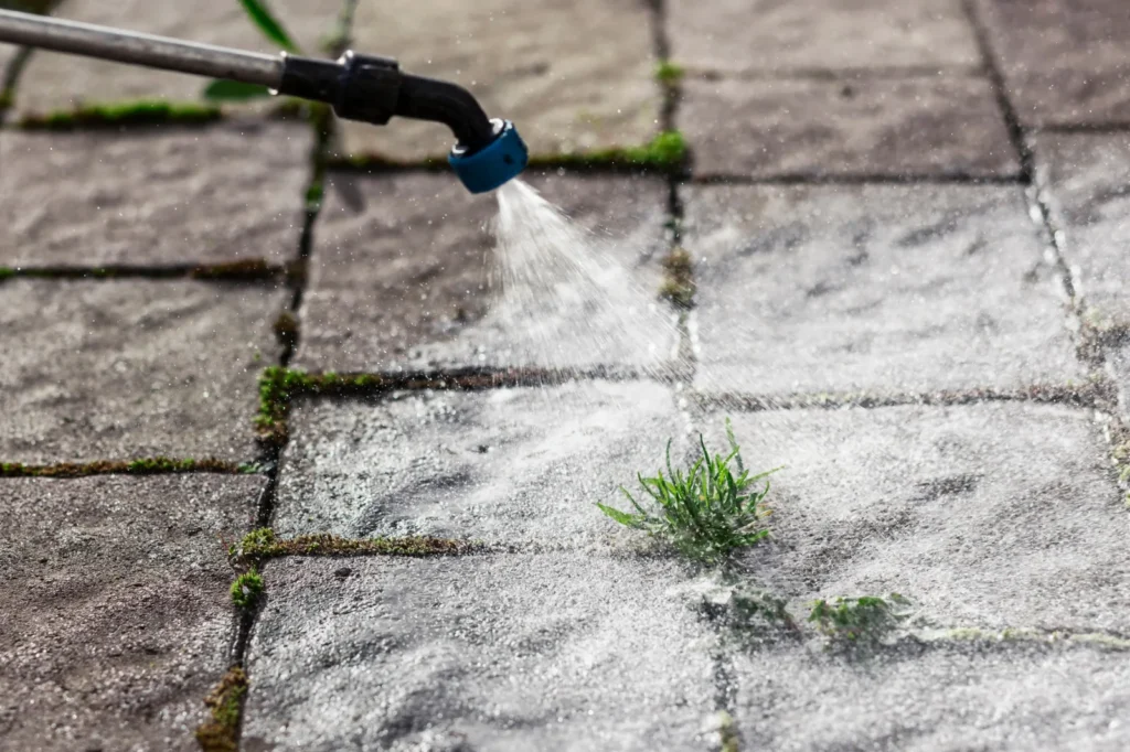 Hard surface weed control treatment being applied to weeds growing between paving