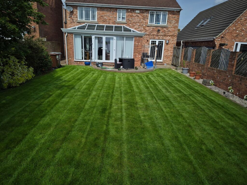 Healthy green lawn professionally maintained in Horbury, Wakefield