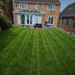 Healthy green lawn professionally maintained in Horbury, Wakefield