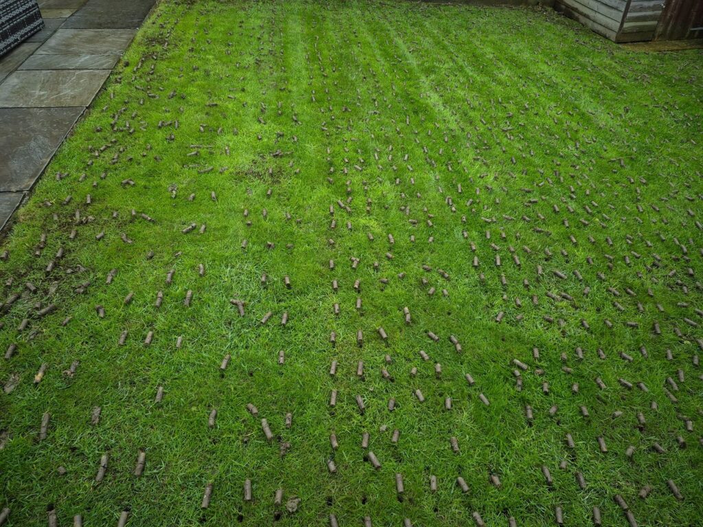 Lawn following professional hollow-tine aeration in Wakefield
