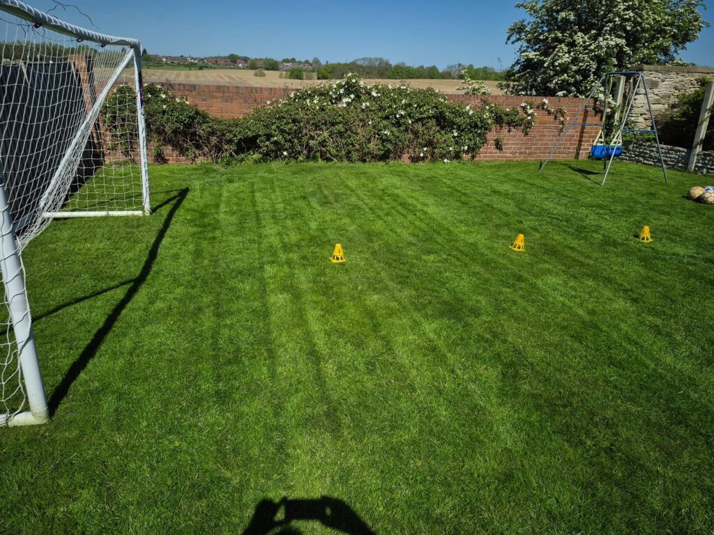 Healthy green lawn in Wakefield after professional lawn care treatment