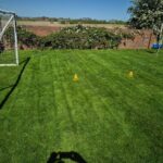 Healthy green lawn in Wakefield after professional lawn care treatment