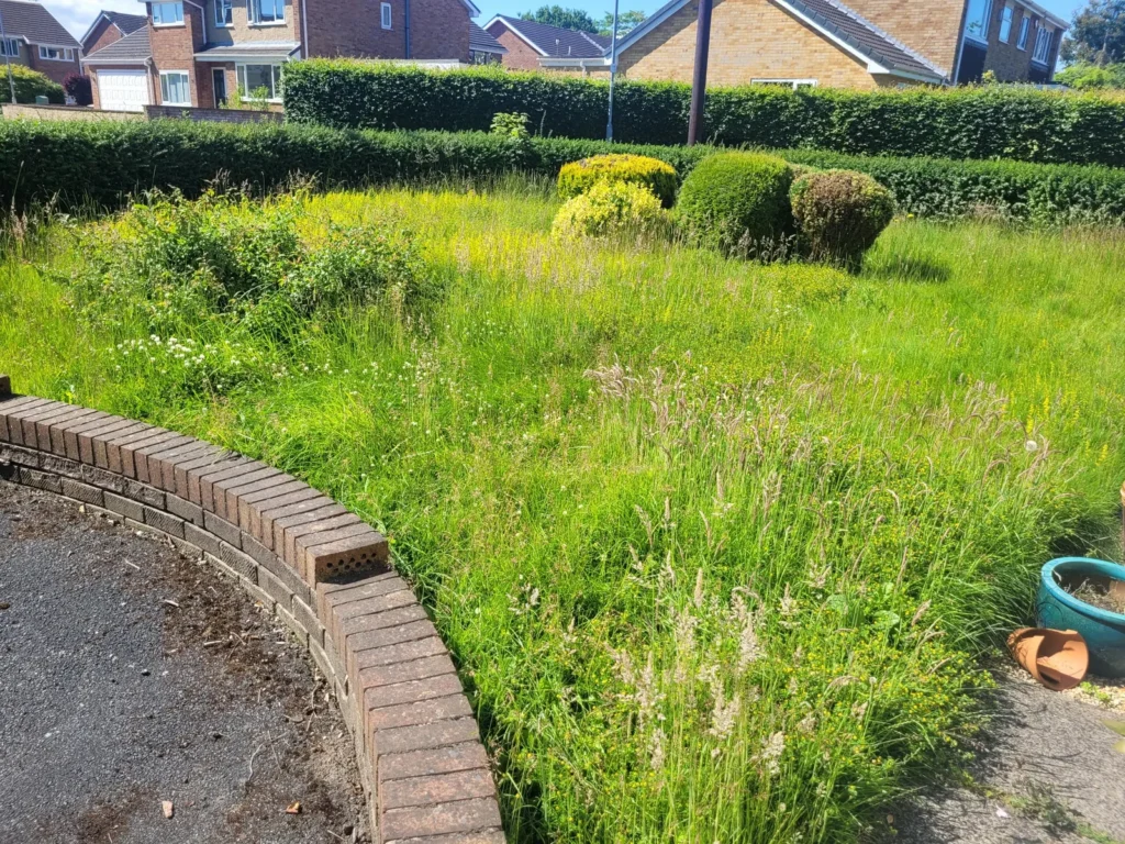 Overgrown lawn before professional lawn mowing in Ossett, Wakefield
