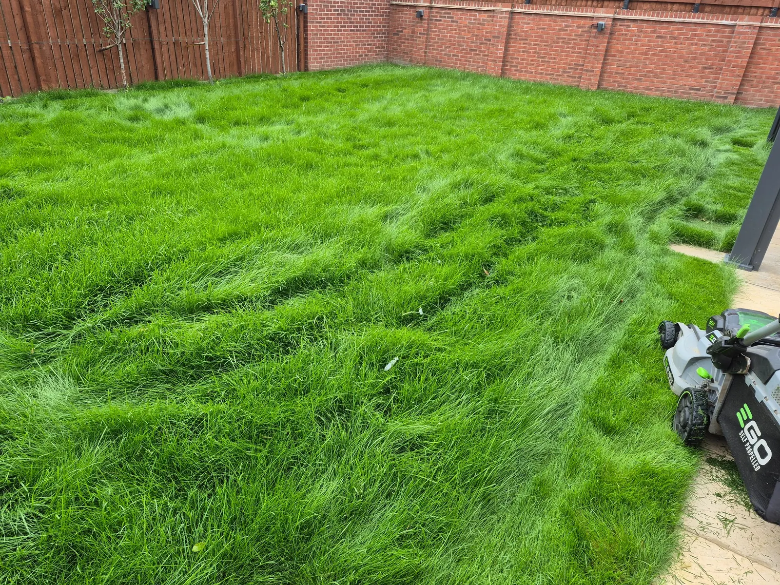 Overgrown lawn before professional lawn mowing in Wakefield
