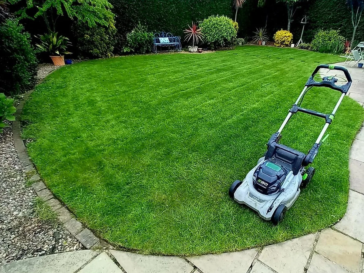 Healthy green lawn after scarification and recovery in Wakefield