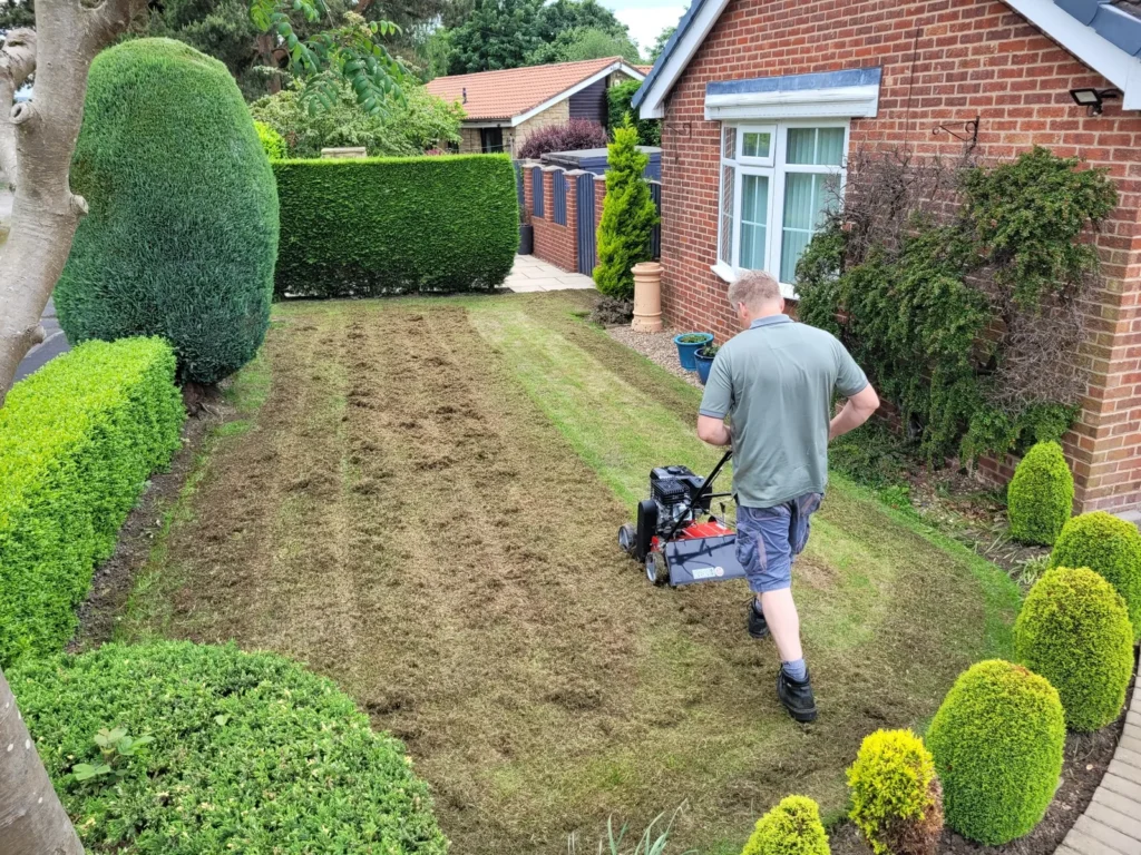 Professional lawn scarification removing moss and thatch from a lawn in Wakefield