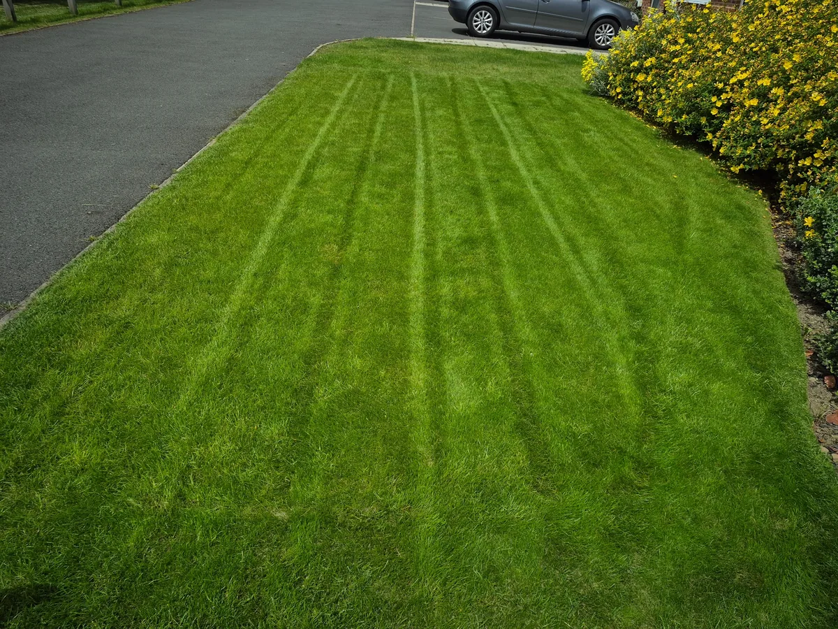 Healthy green lawn after professional lawn treatment in Wakefield