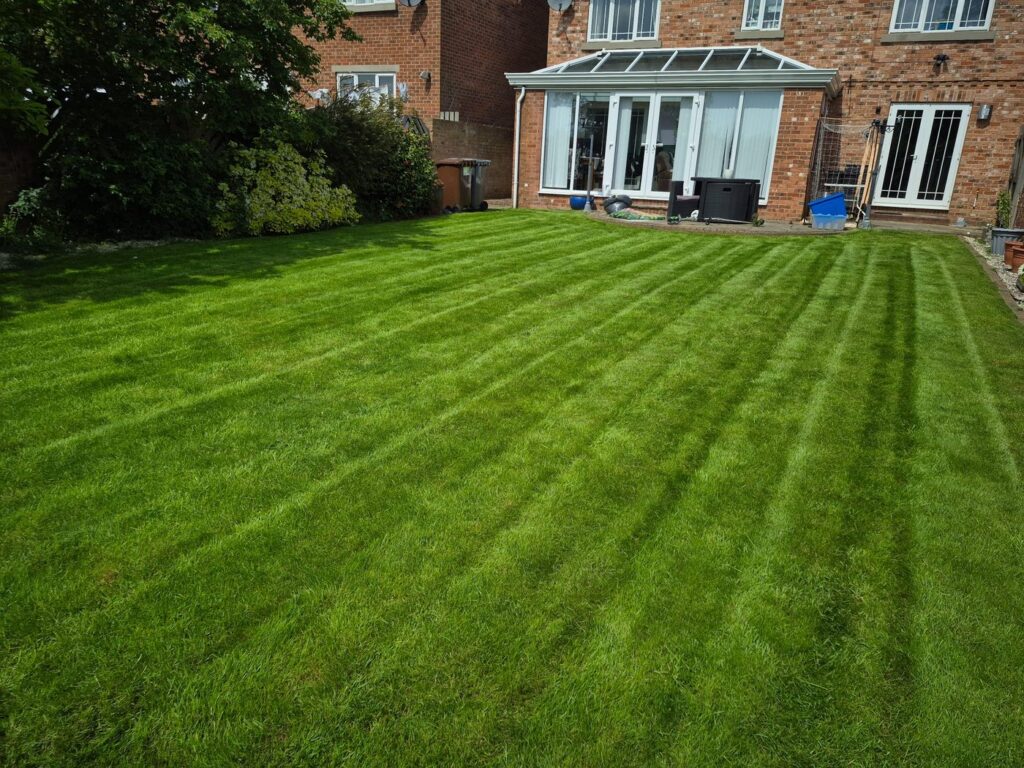 Professional Lawn Treatments in Wakefield