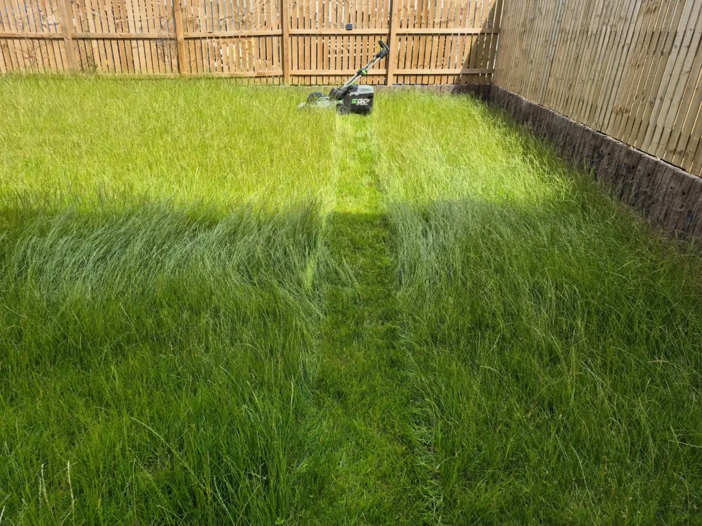 Overgrown lawn before professional lawn mowing in Wakefield