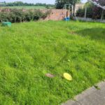 Overgrown lawn in Wakefield before professional lawn care treatment