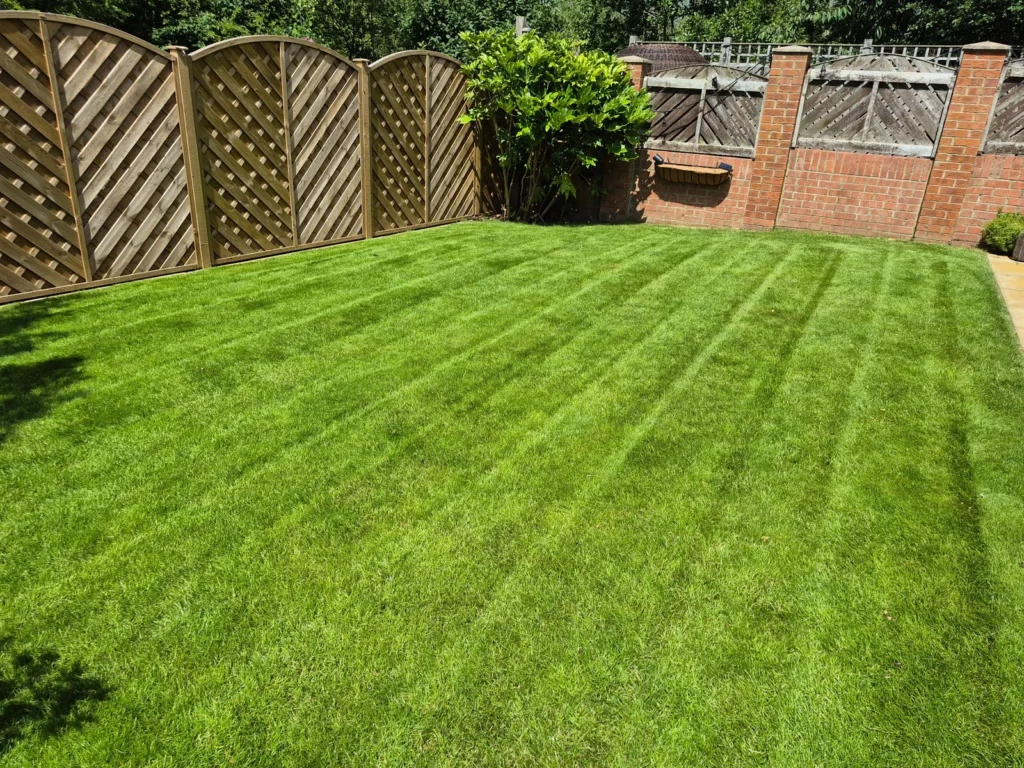 Professionally mown striped lawn in Wakefield