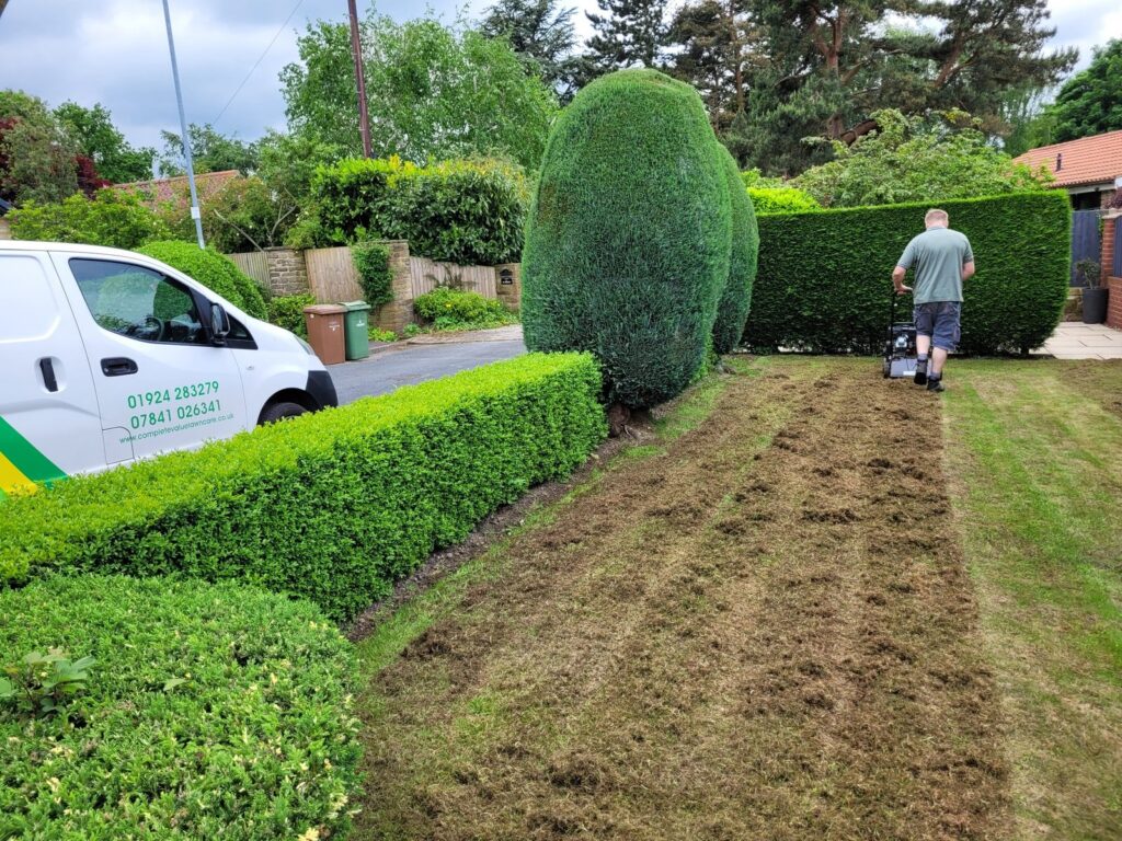 Professional lawn scarification service in Wakefield