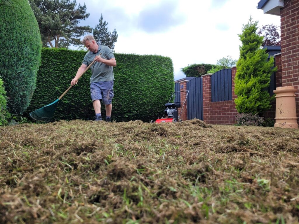 Raking up thatch after lawn scarification